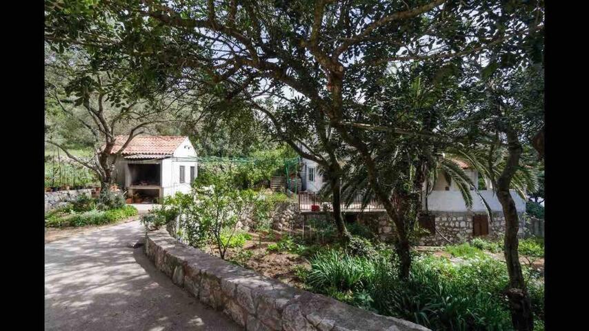 Villa Franic Saplunara Exterior photo